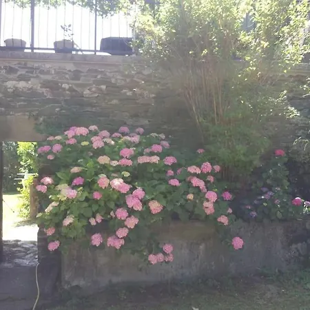 Grand En Location Dans Maison De Caractere 90 M2 *